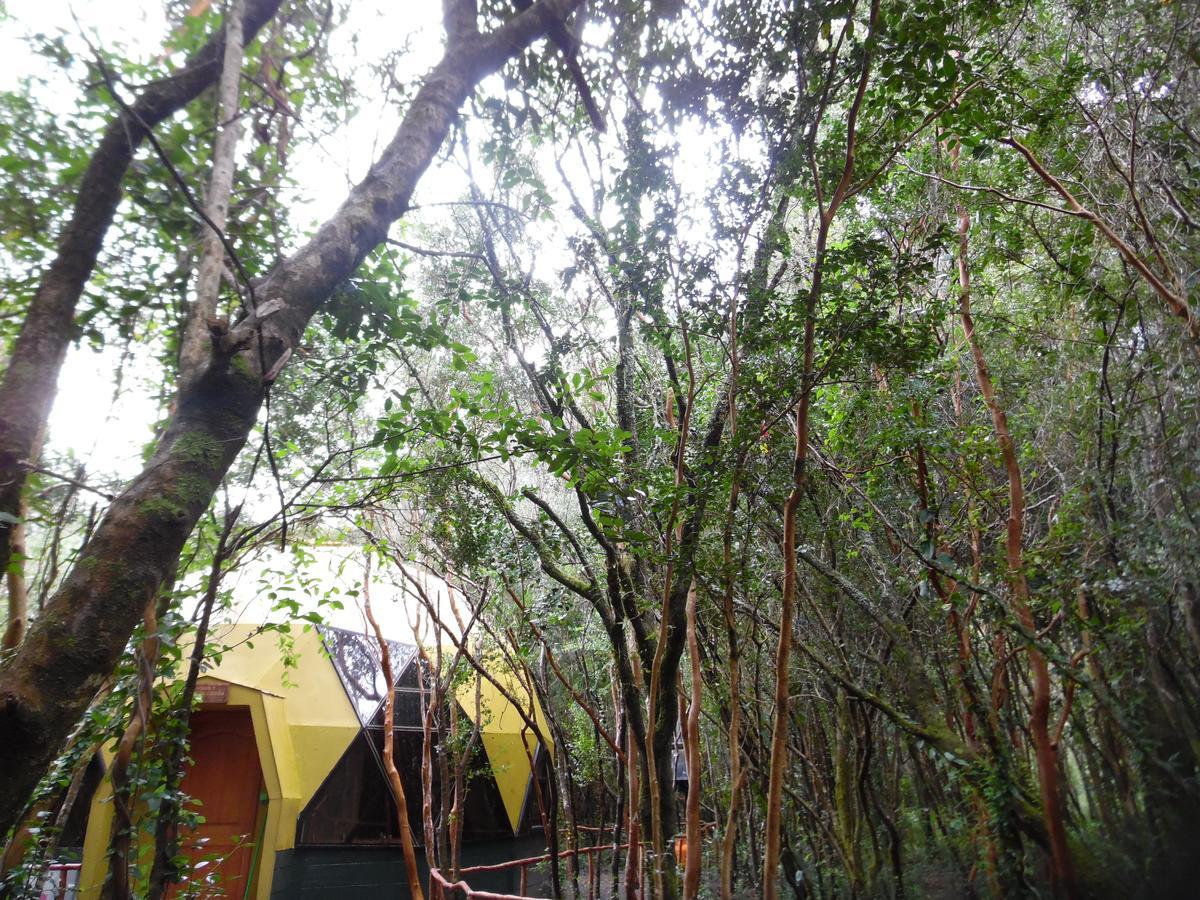 Cuyinco Domos Villa Rininahue ภายนอก รูปภาพ